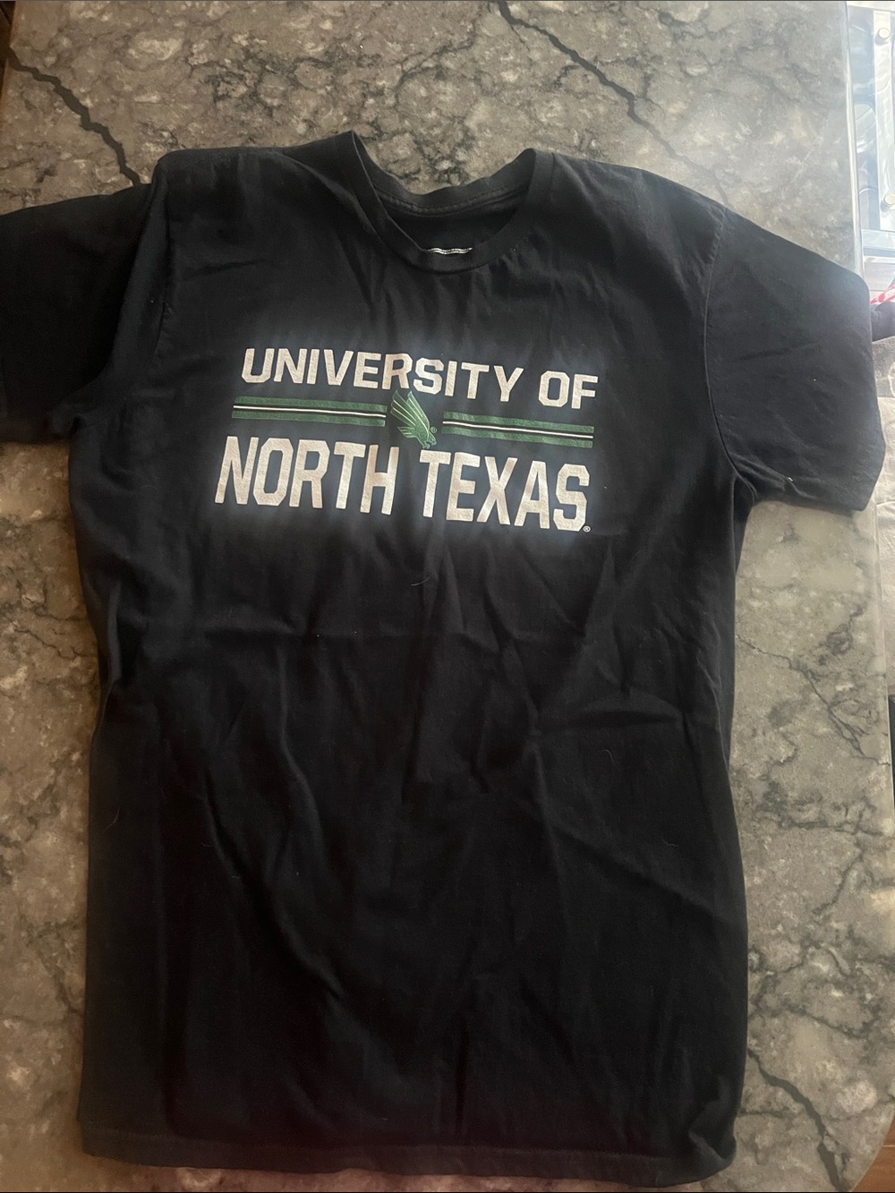 Gildan Black University of North Texas Graphic Tee with Green Accents